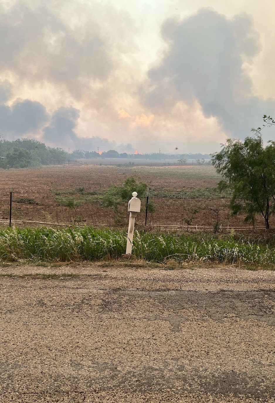 Mesquite Heat Fire